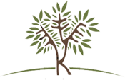 Zeytin Hotel Logo