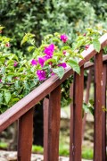 Zeytin Hotel Selimiye