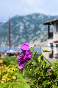 Zeytin Hotel Selimiye