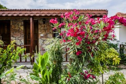 Zeytin Hotel Selimiye