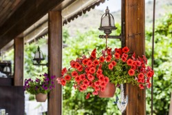 Zeytin Hotel Selimiye