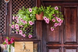 Zeytin Hotel Selimiye